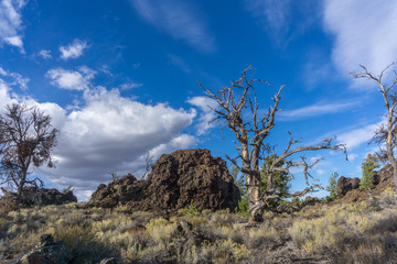 Craters of the Moon National Monument Vista with Large Volcanic Rock