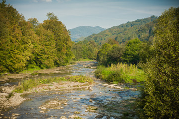 Beautiful mountain forest and river