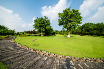 Grassland landscape and greening environment park background