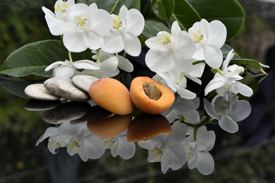 Abricot et orchidées blanches