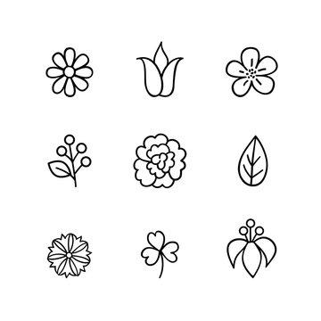 Floral icon set. Flowers, berry and leaves line art icons. Nature sign collection
