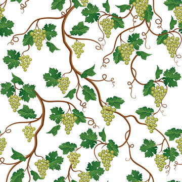 Floral pattern with grape branch. Wine yard seamless wallpaper. Garden background