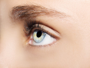 A beautiful insightful look woman's eye. Close up shot