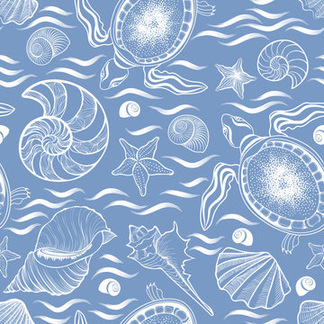 Marine lie seamless pattern. Seashell, turtle, mollusk, ocean wa