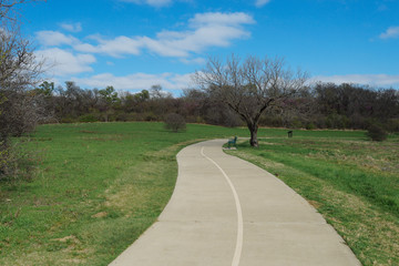 Fototapeta na wymiar The path in the park on a sunny spring morning