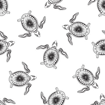 Turtle animal seamless pattern. Marine reptile swimming over white background
