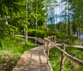 Fototapeta premium Wooden paths along the lake in the spring forest of Karelia 