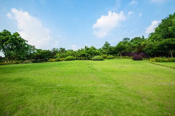 Grassland landscape and greening environment park background
