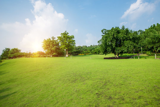 Grassland landscape and greening environment park background