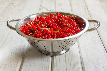 Colander full of freshly harvested red currants on wooden background. Side view. Summer.