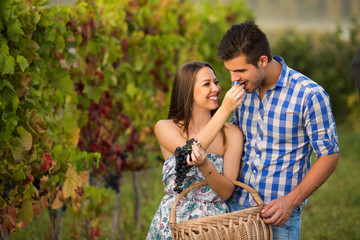 Fototapeta premium Young couple in vineyard eating grape