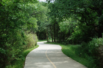 Obraz premium The path in the park in the springtime