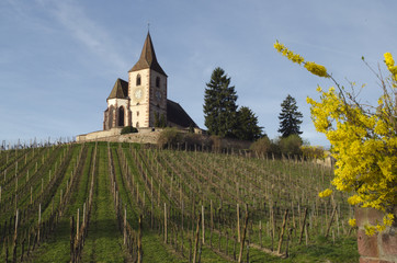 Wine trail leading to an old French church