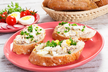 Baguette with mackerel fish paste, egg, tomato, radish and fresh rolls