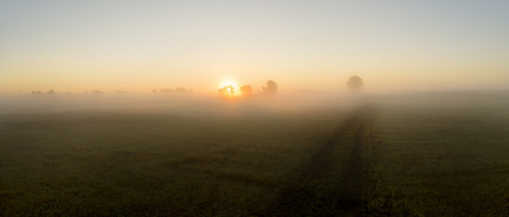 Foggy Sunrise