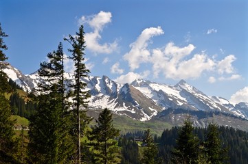 Schweizer Berge Schwalmis, Buochserhorn, Mattgrat und Hoh Brisen im Schnee bei blauem Himmel, davor Tannen / Bergwald, Schweiz