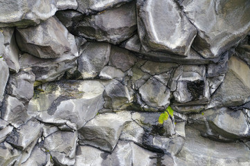 Light grey basalt columns near Reynisdrangar beach,  Iceand