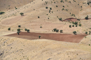 Obraz premium Kurdistan