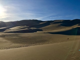 Fototapeta na wymiar Great Sand Dunes 6