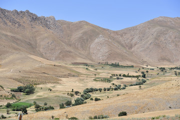Kurdistan