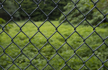 Fototapeta premium Metal wire