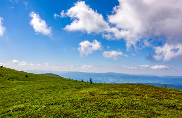 Fototapeta na wymiar grassy hillside on mountain in summer