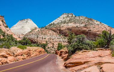 Highway in Zion National Park, Utah, USA