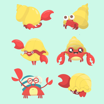 A set of hermit crab.