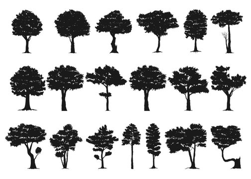 set of tree silhouette