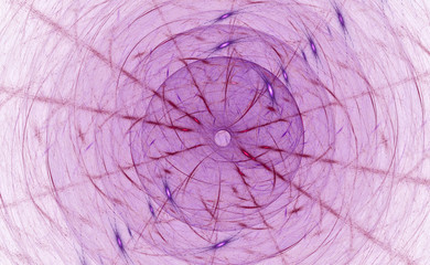 The fractal pattern on white