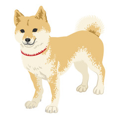Shiba inu Clip art - Standing, Full length 柴犬　立つ