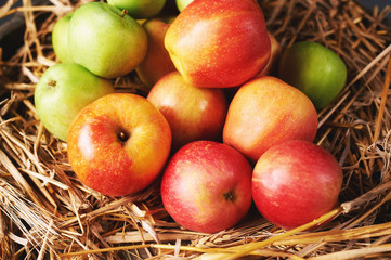 Red and green apples in the grocery store