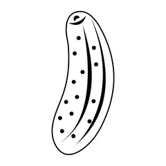 cucumber vegetable icon image