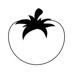 whole tomato icon image