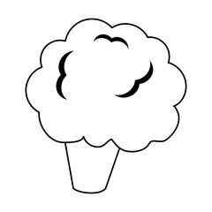 cauliflower or broccoli icon image
