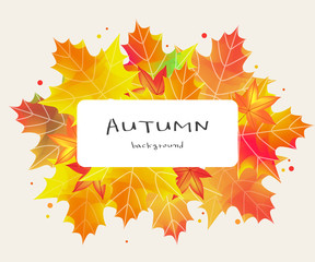 autumn leaves illustration