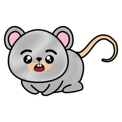isolated cute mouse