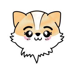 Fototapeta premium isolated cute fox face