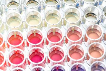 micro well with colorful samples to be tested