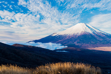 Fototapeta na wymiar The Mt.Fuji.Shot in the early morning.The shooting location is Lake Yamanakako, Yamanashi prefecture Japan.