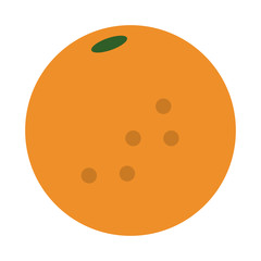 fruit icon image