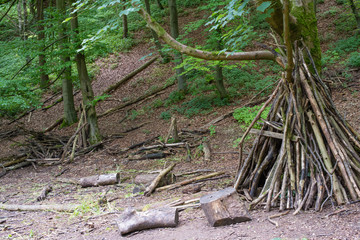 Log wigwam in the middle of the woods © Mark
