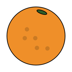 fruit icon image