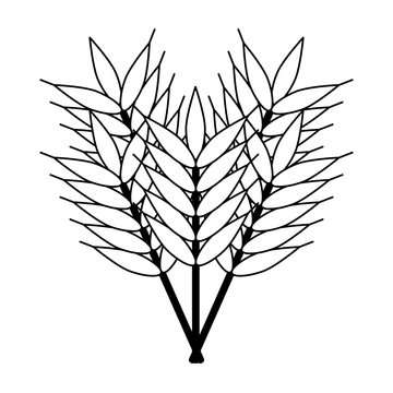 wheat ears icon image