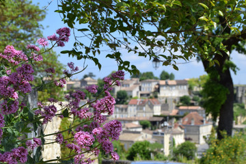 Vue de Saint Emilion