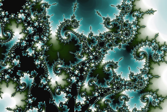 fractal octopus, devil-fish