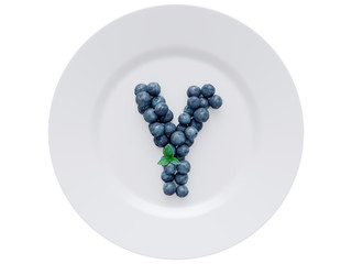 Blueberry font isolated on white ceramic dish. Letter Y