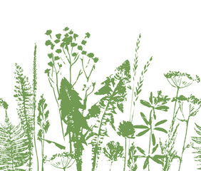 Herbal seamless pattern. Botanical border. Vector grass background.