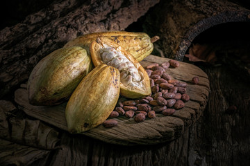 Cocoa beans and cocoa pod