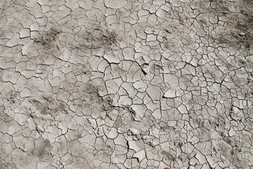 Terre craquelée